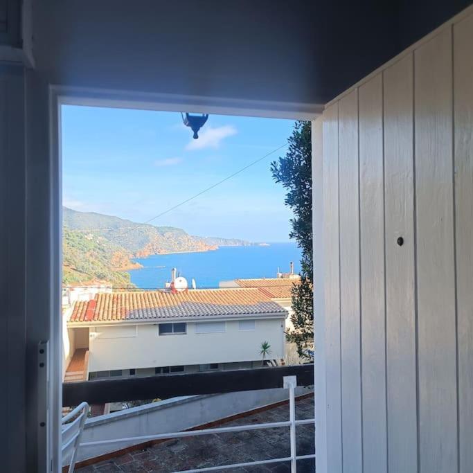 Ferienwohnung Cala Salions Balandro II Tossa De Mar Canet De Mar Exterior foto