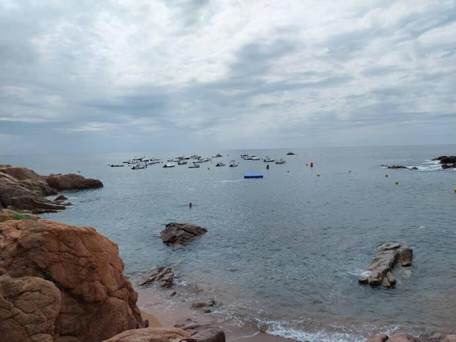 Ferienwohnung Cala Salions Balandro II Tossa De Mar Canet De Mar Exterior foto
