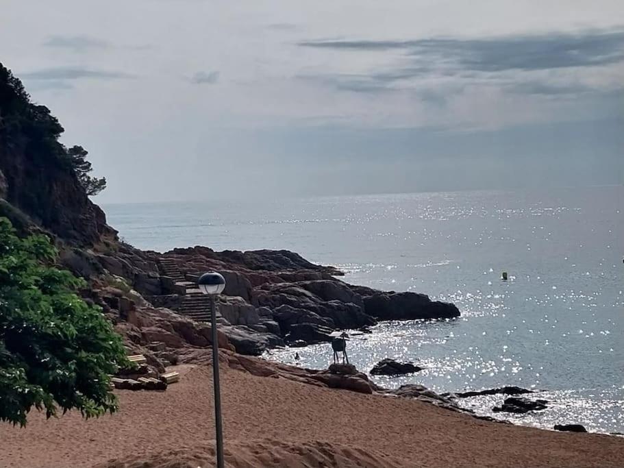 Ferienwohnung Cala Salions Balandro II Tossa De Mar Canet De Mar Exterior foto