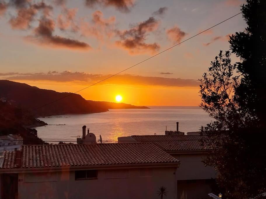 Ferienwohnung Cala Salions Balandro II Tossa De Mar Canet De Mar Exterior foto