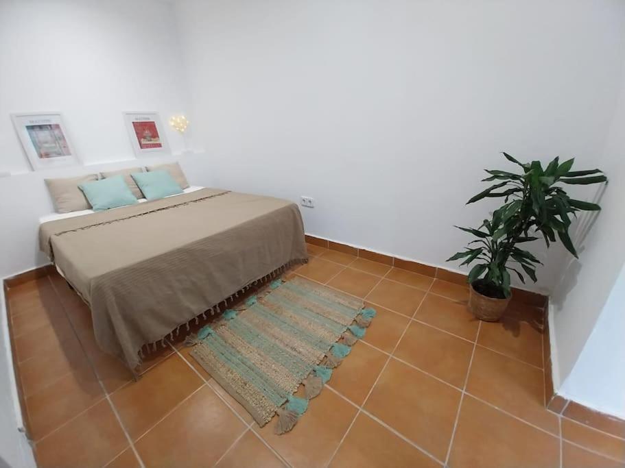 Ferienwohnung Cala Salions Balandro II Tossa De Mar Canet De Mar Exterior foto