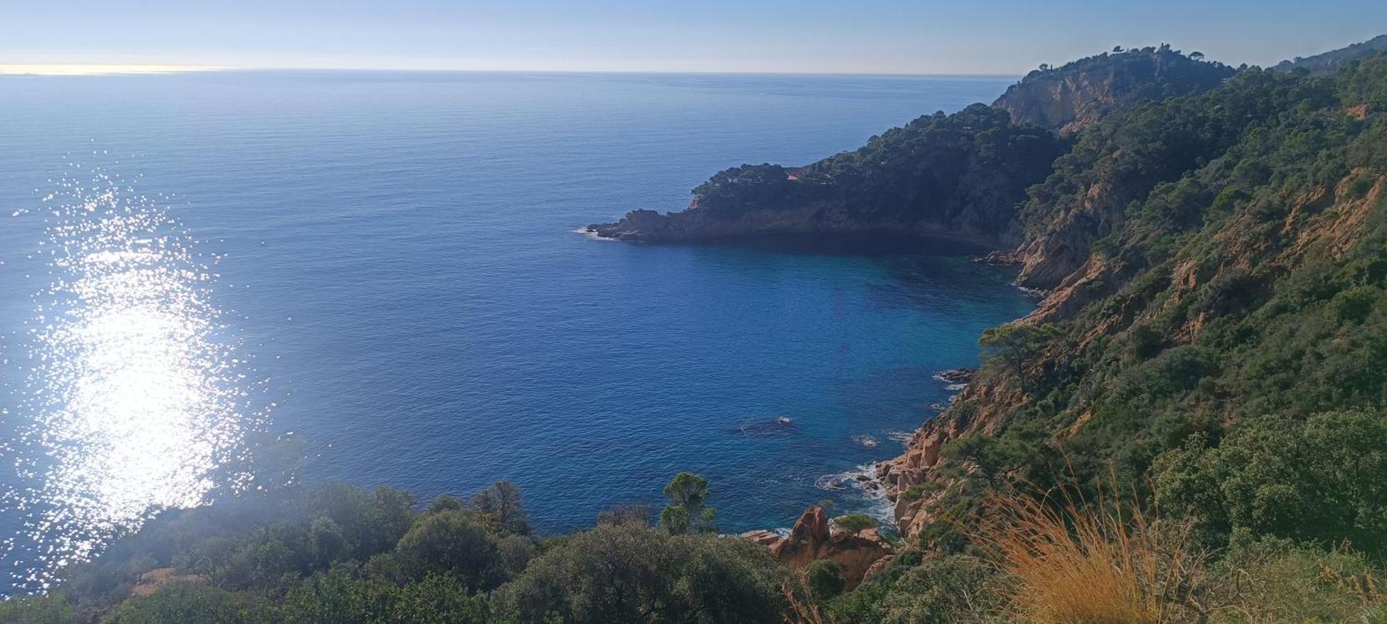 Ferienwohnung Cala Salions Balandro II Tossa De Mar Canet De Mar Exterior foto